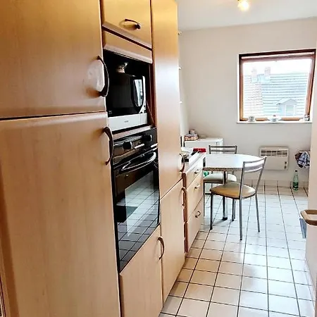 Cosy. 10Mn Du Centre Et De La Gare. Garage Gratuit Apartment Colmar Exterior photo